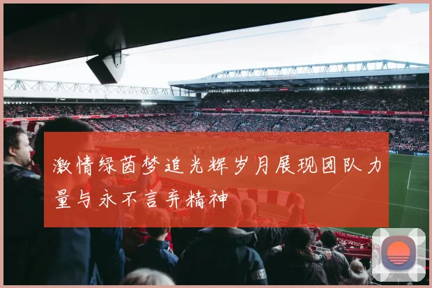 激情绿茵梦追光辉岁月展现团队力量与永不言弃精神