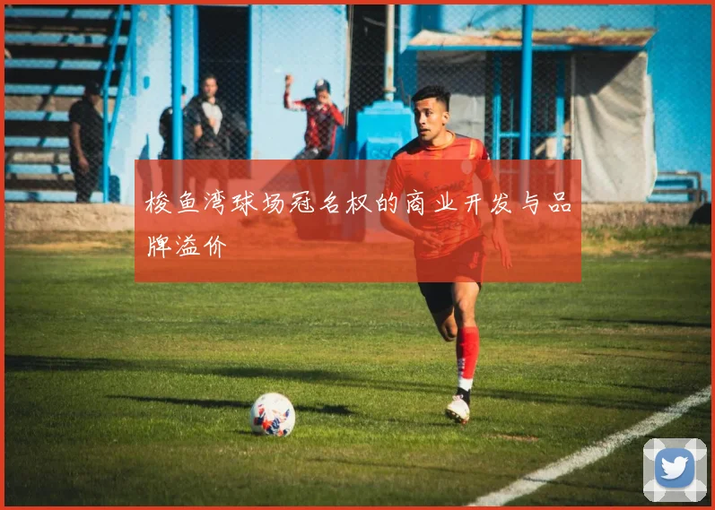 梭鱼湾球场冠名权的商业开发与品牌溢价