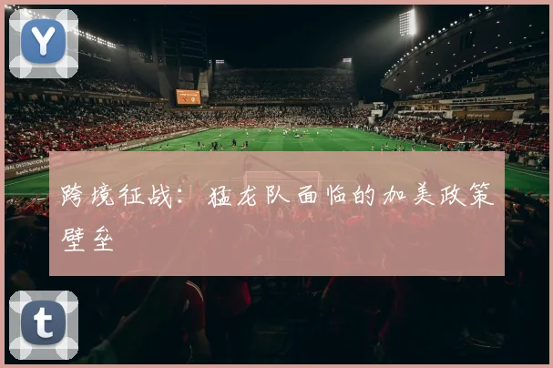 跨境征战：猛龙队面临的加美政策壁垒