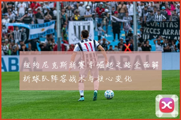 纽约尼克斯新赛季崛起之路全面解析球队阵容战术与核心变化