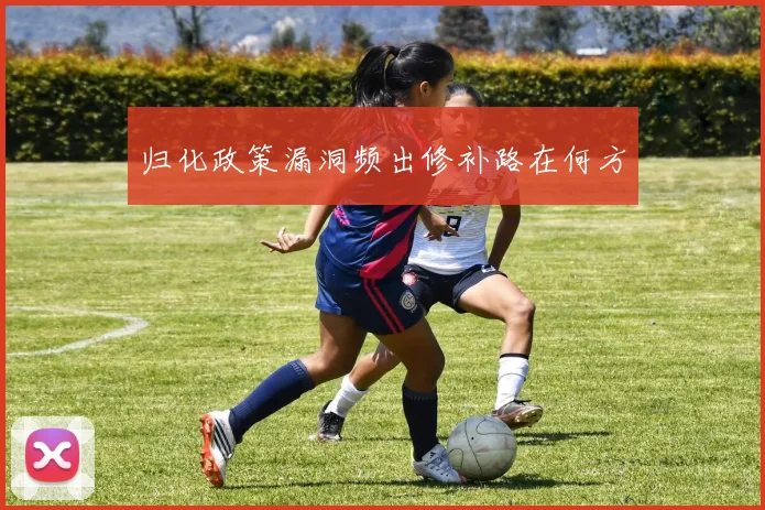 归化政策漏洞频出修补路在何方