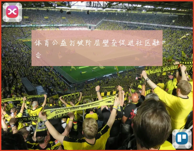 体育公益打破阶层壁垒促进社区融合