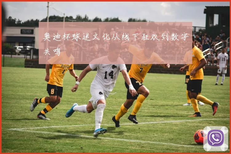 奥迪杯球迷文化从线下狂欢到数字共鸣