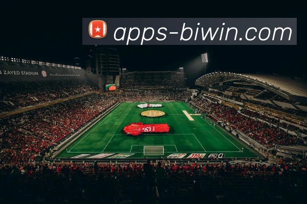 App Interface Preview